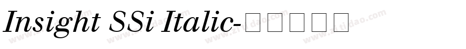 Insight SSi Italic字体转换